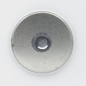 Shrimp button magnet